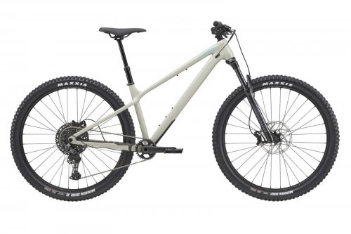 Horské kolo CANNONDALE HABIT HT 1 šedá
